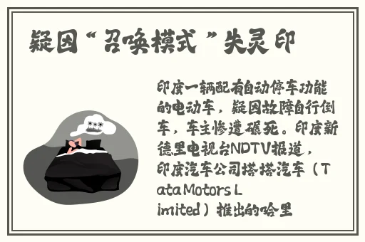 腿长大点就能吃到扇贝了